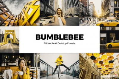 20_Bumblebee_Lightroom_Presets_and_LUTs.jpg