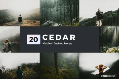 20_Cedar_Lightroom_Presets_and_LUTs.jpg