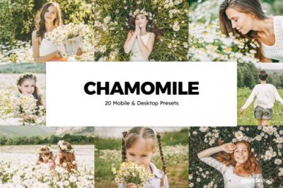 20_Chamomile_Lightroom_Presets_and_LUTs.jpg