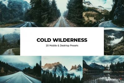 20_Cold_Wilderness_Lightroom_Presets_LUTs.jpg