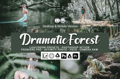 20_Dramatic_Forest_Presets.jpg