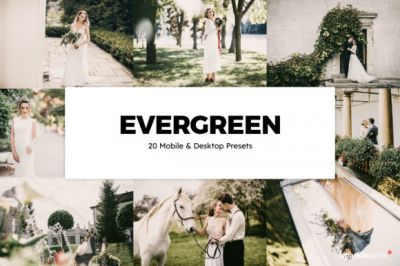 20_Evergreen_Lightroom_Presets_and_LUTs.jpg