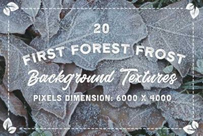 20_First_Forest_Frost_Backgrounds~6.jpg