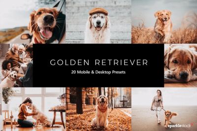 20_Golden_Retriever_Lightroom_Presets___LUTs.jpg