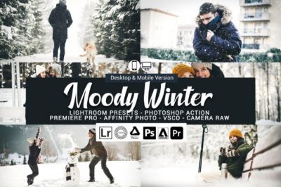 20_Moody_Winter_Presets.jpg