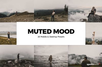 20_Muted_Mood_Lightroom_Presets_and_LUTs.jpg