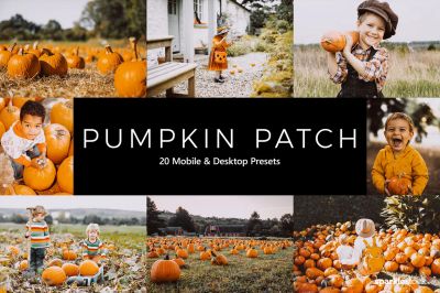 20_Pumpkin_Patch_Lightroom_Presets___LUTs.jpg