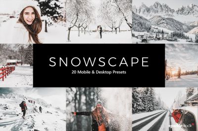 20_Snowscape_Lightroom_Presets___LUTs.jpg