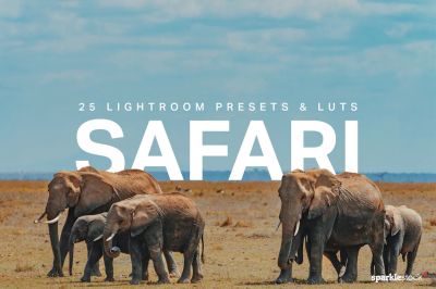 25_Safari_Lightroom_Presets_and_LUTs.jpg