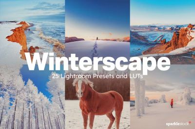 25_Winterscape_Lightroom_Presets_and_LUTs.jpg