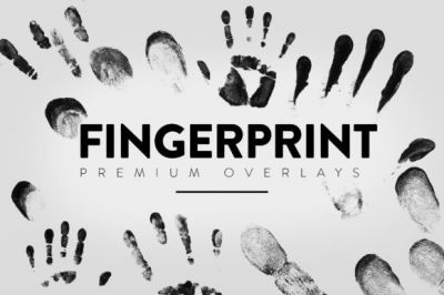 30_Fingerprint_Overlay.jpg