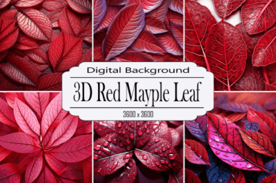 3D_Red_Maple_Leaf.png