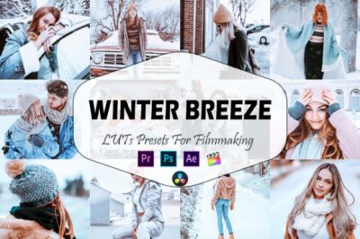 3_Winter_Breeze_Video_LUTs_Presets.jpg