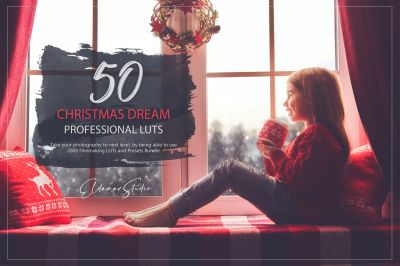 50_Christmas_Dream_LUTs_and_Presets_Pack.jpg