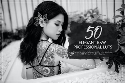 50_Elegant_B_W_LUTs_Pack.jpg