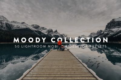 50_Moody_Lightroom_Presets_and_LUTs.jpg