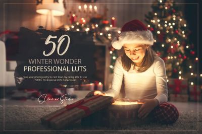 50_Winter_Wonder_LUTs_and_Presets_Pack.jpg