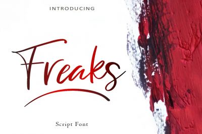 AM_Freaks_-_Script_Font~1.jpg