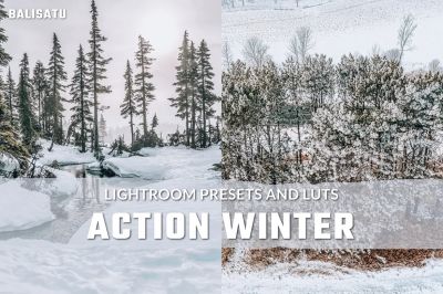 Action_Winter_LUTs_and_Lightroom_Presets.jpg