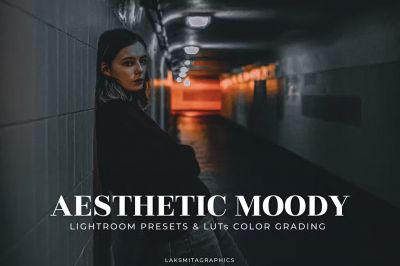 Aesthetic_Moody_Lightroom_Presets___Luts.jpg