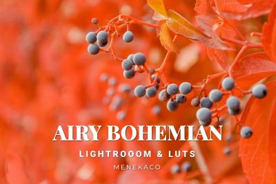 Airy_Bohemian_Lightroom___LUTs.jpg