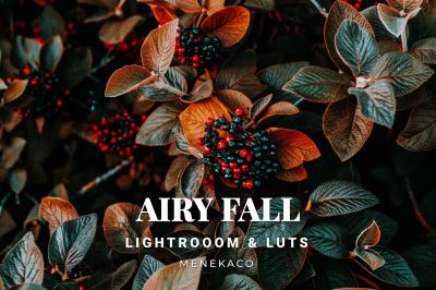 Airy_Fall_Lightroom___LUTs.jpg