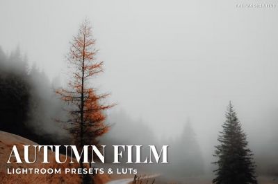 Autumn_Film_Lightroom_Presets_and_LUTs.jpg