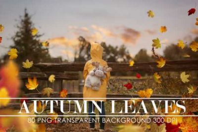 Autumn_Leaves_Overlays2C_Falling_Leaves~6.jpg