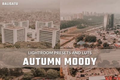 Autumn_Moody_LUTs_and_Lightroom_Presets.jpg