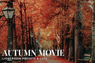 Autumn_Movie_Lightroom_Presets_and_LUTs.jpg