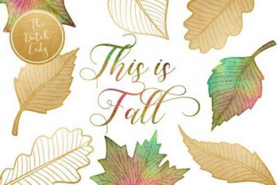 Autumn___Fall_Leaves_Clipart_Set~1.jpg