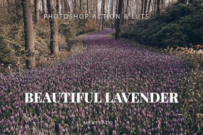 Beautiful_Lavender_Photoshop_Action___LUTs.jpg