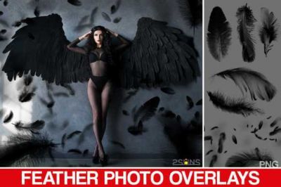 Black_Feather_Overlays_Photoshop_Bokeh~6.jpg