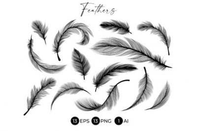 Black_Feathers_Stencil_Boho_Line_Art~0.jpg