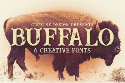 Buffalo~1.jpg