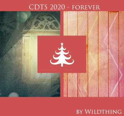 CDTS2020-WTForever.jpg