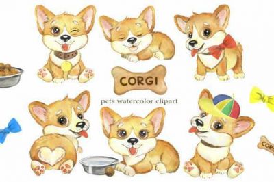 CORGI_Puppies_Watercolor_Dog_Clipart~1.jpg