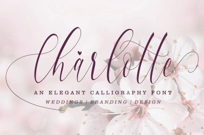 Charlotte_Calligraphy~1.jpg