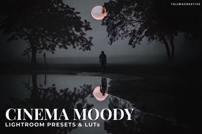 Cinema_Moody_Lightroom_Presets_and_LUTs.jpg