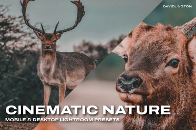 Cinematic_Nature_Lightroom_Presets___LUTs.jpg