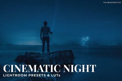 Cinematic_Night_Lightroom_Presets_and_LUTs.jpg