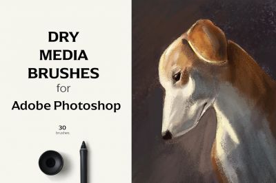 Dry_Media_Brushes_-_PS.jpg