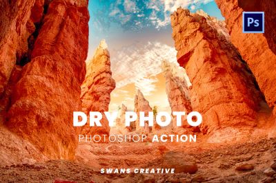 Dry_Photo_Photoshop_Action_CS3.jpg