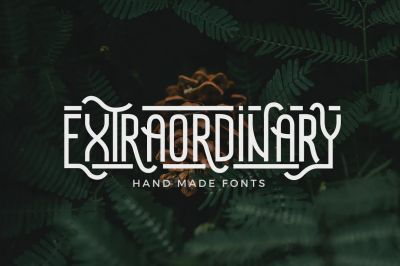 Extraordinary_-_Handmade_Font~1.jpg