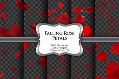 Falling_Rose_Petals_Overlays_Transparent~3.jpg