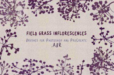 Field_Grass_Inflorescence_Brushes.jpg