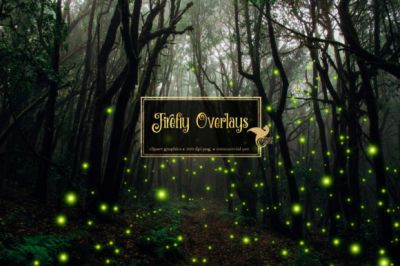 Firefly_Overlays~0.jpg