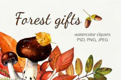 Forest_Gifts_Watercolor_Set~1.jpg