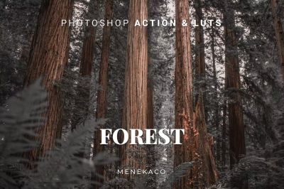 Forest_Photoshop_Action___LUTs.jpg