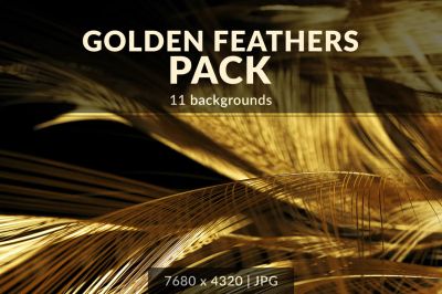 Golden_Feathers_Backgrounds_Pack~0.jpg